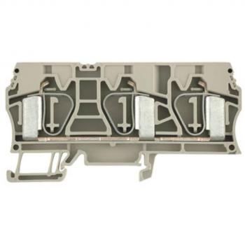 Abrazadera Terminal Weidmuller Beige