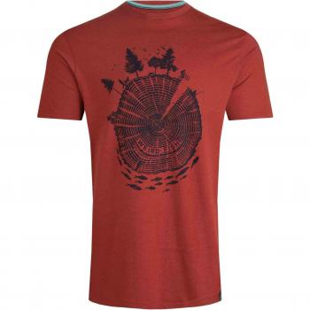 Weird Fish Woodsman Eco Graphic Tee Nut Size S