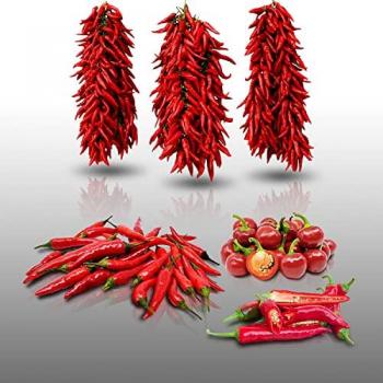 Lot de 100 graines pour piment – Le Grenier d’Abondance, 4 sachets séparés