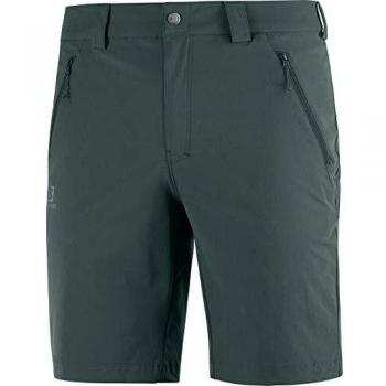 Short Salomon Wayfarer LT M, Pantalón de Verano, Hombre, Verde