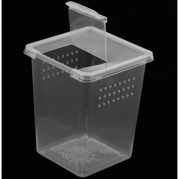 Reptile Spider Container Case, 8x8x11cm