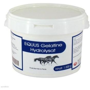 GELATINE‑Equus Hydrolysat 1 kg, Vet. Qualitätsstandard
