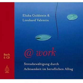 @work: Stressbewältigung im beruflichen Alltag