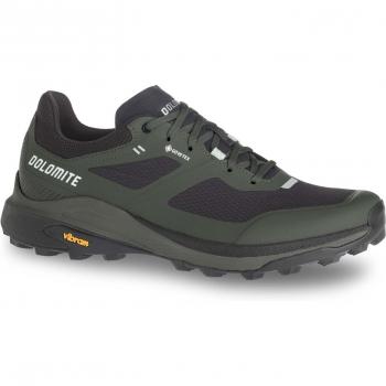DOLOMITE Herren Multifunktionsschuhe Nibelia GORE-TEX olive | 42 1/2