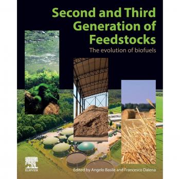 Second and Third Generation of Feedstocks: The . Basile, Dalena<|