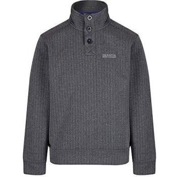 Regatta Herren Lucan Button Hals Fleece, Grau, XXXL