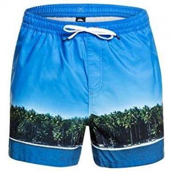 Jetlag Dreams Swim Trunks 15'' Quiksilver (Blithe)