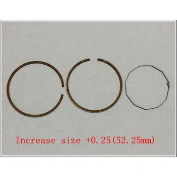 4VP Piston Assembly for BWS100