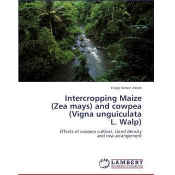 Intercropping Maize