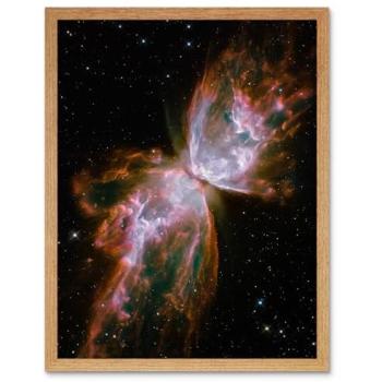 Milky Way Butterfly Nebula Canvas