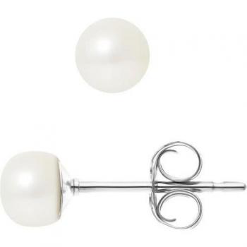 Clous d'Oreille Aquatique