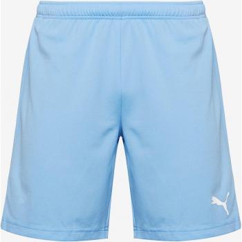 Puma Team Rise Short 2021