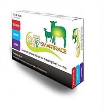 Smartrace 24/7 Sheep Nutritional Support