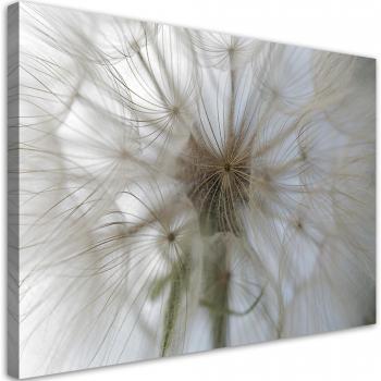 Tapisserie Pissenlit Macro 60x40 – Tons Neutres