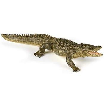 Cocodrilo Papo