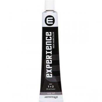 Artistique Experience Herrenfarbe 6 Dunkelblond 100 ml