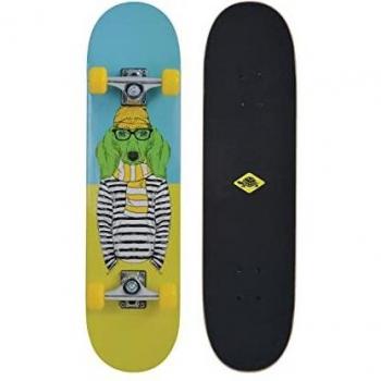 Skateboard 31.10 Schildkröt