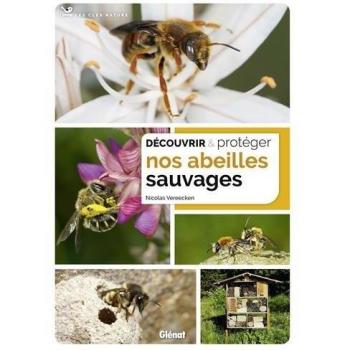 Découvrir et protéger nos abeilles sauvages