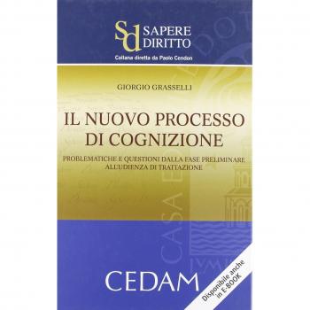 Nuovo processo di cognizione