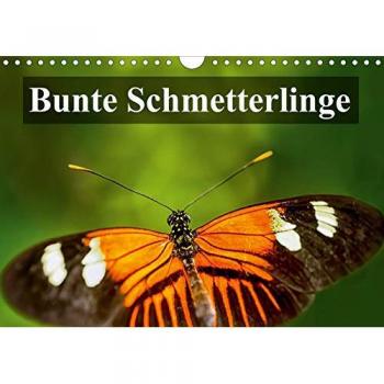 Bunte Schmetterlinge