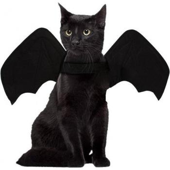 Yorkie Halloween Bat Outfit