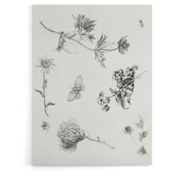 Elegant Flora & Butterfly Canvas Print – Hoytema, 12x16