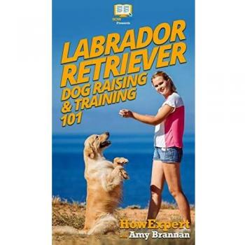 Labrador Retriever Dog Raising & Training 101
