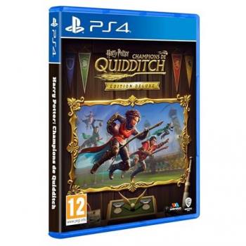 Harry Potter : Champions de Quidditch