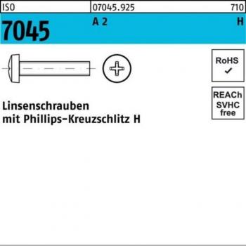 M4 x 22mm Linsenschraube A2 mit Kreuzschlitz