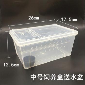 Snail and Frog Breeding Container