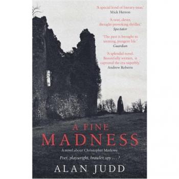A Fine Madness : Sunday Times 'Historical Fiction Book of the Month'