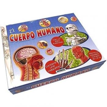 El cuerpo humano.