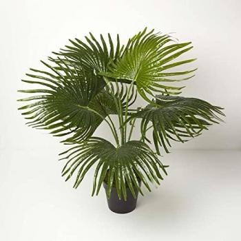 Homescapes 80 cm Tall Artificial Palm Tree