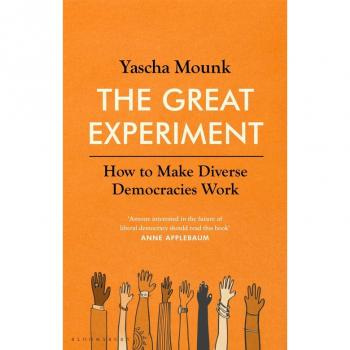 The Great Experiment: How to Make Diverse Democracies Work