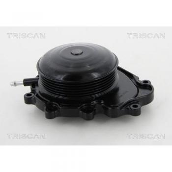 Motorkühlung Wasserpumpe TRISCAN 8600 23019