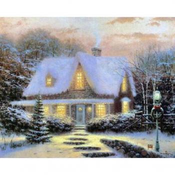 5D DIY sneeuwlandschap diamant schilderij mozaïek borduurpakket 20X30CM