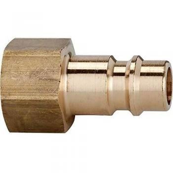 RIEGLER Nippel G 1/8 IG für Kupplungen NW 7,2-7,8, Messing