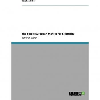 The Single European Market for Electricity