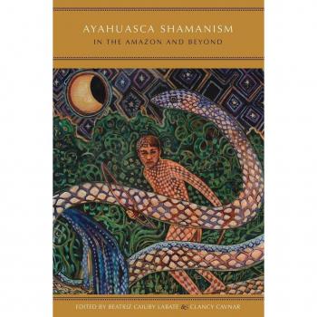 Ayahuasca Shamanism In The Amazon And Beyond (Oxford Ritual Studies) (Paperback)