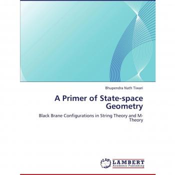 A Primer of State-space Geometry: Black Brane Configurations in String Theory and M-Theory