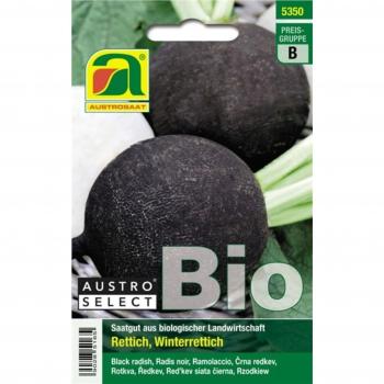 Ramolaccio Nero Wiener runder Kohlschwarzer Bio