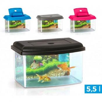 Contenedor de agua 5.5 L, tapa sellada – Trade Shop