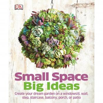 Small Space Big Ideas (Dk) (Hardcover)