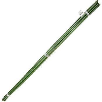 Tige de tuteur en bambou plastifié Ø 8-10 mm x 60 cm (10 pièces)