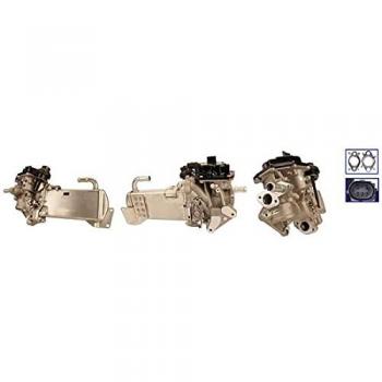 EGR Control Valve Model 730098