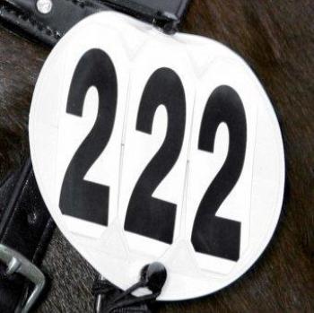 White Waldhausen Bridle Numbers Round (2)