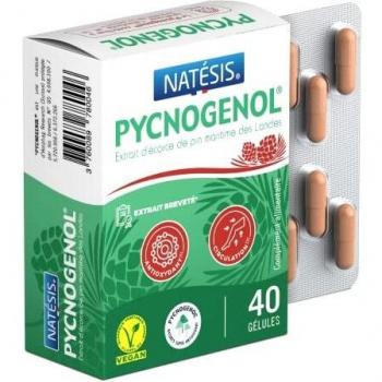 NATESIS — Pycnogenol — Extrait d'écorce de pin de Landes 40 mg — 40 gélules