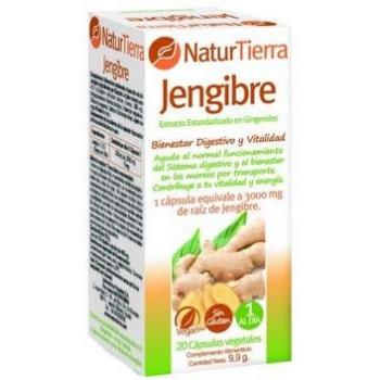 Ingefära Kapslar 20g av Naturtierra