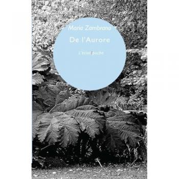 De l'aurore