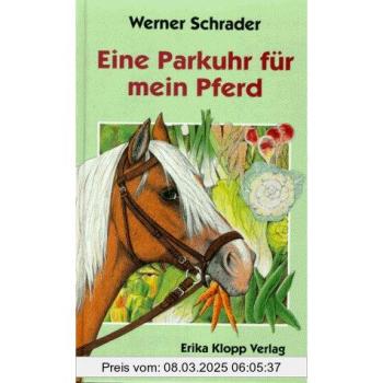 Eine Parkuhr für mein Pferd